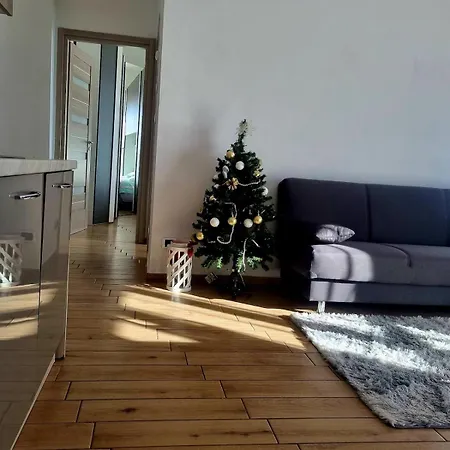 Da Carmen Bilocale Apartment Rome
