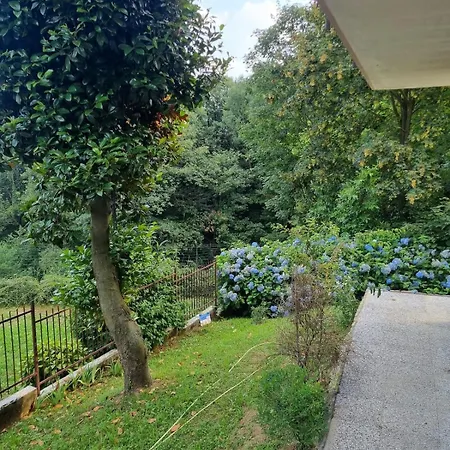 Apartment Da Carmen Bilocale